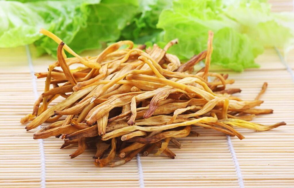 忘忧草是什么植物？忘忧草又叫什么花？