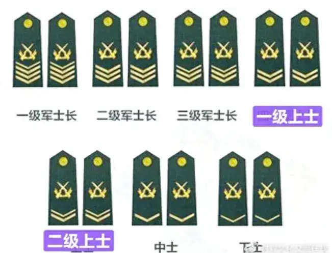 军士长是什么级别？军士长算干部吗？