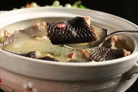 蛇肉怎样煲汤？蛇肉煲汤用什么配料？