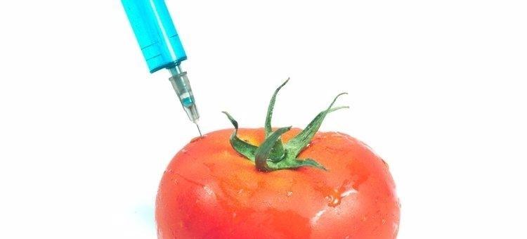 转基因食品有哪些？转基因食品有哪些?