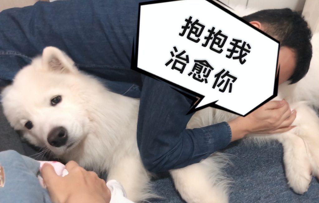 我emo了是什么意思？emo是不开心的意思吗？
