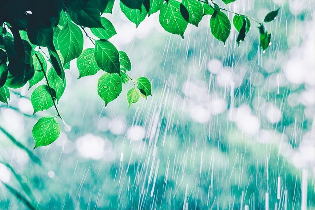 梅雨季节是什么时候？梅雨季是什么季节？