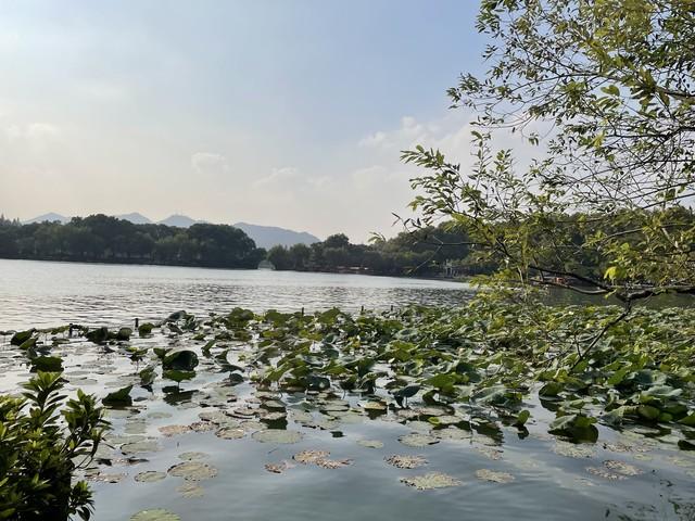 西湖美景几月最美？西湖适合几月份去旅游？
