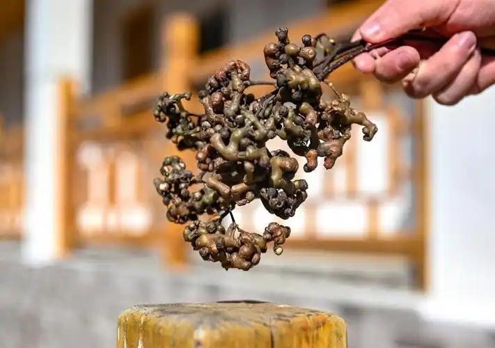 拐枣能吃吗？拐枣剥皮还是直接吃?