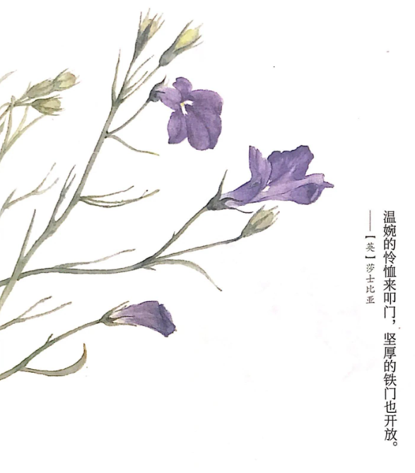 怜悯是什么意思？怜悯的正确解释
