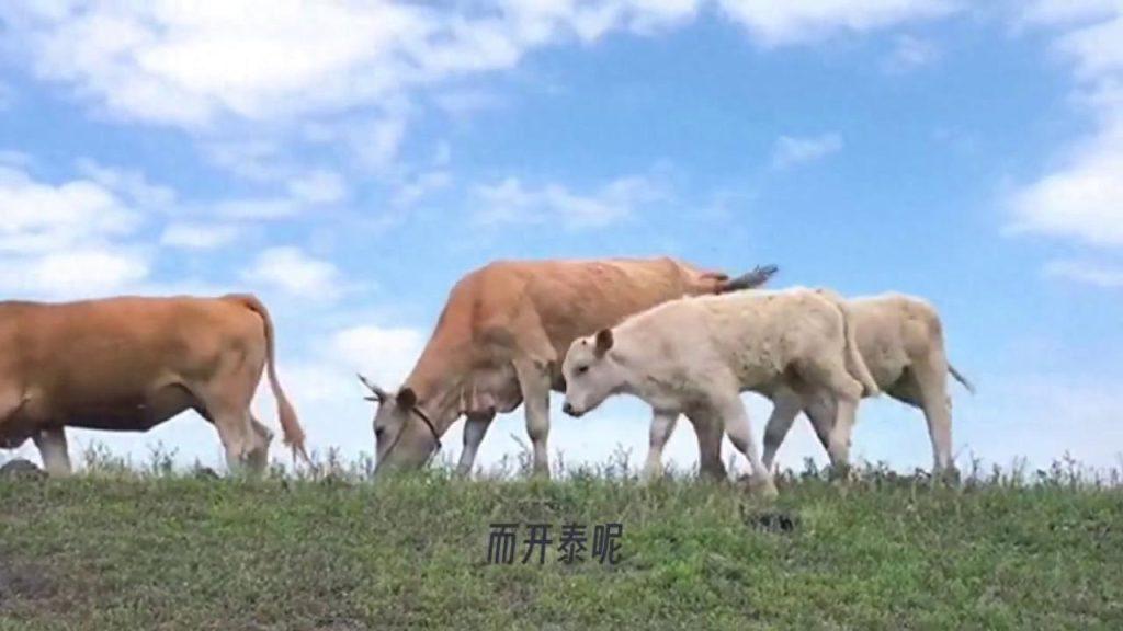 三羊开泰是成语吗？三羊开泰是什么意思？