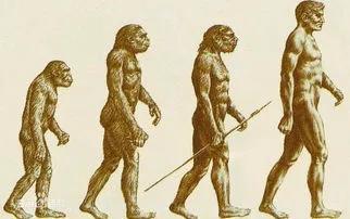 人类进化了多少年？人类进化的重要意义