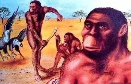 人类进化了多少年？人类进化的重要意义