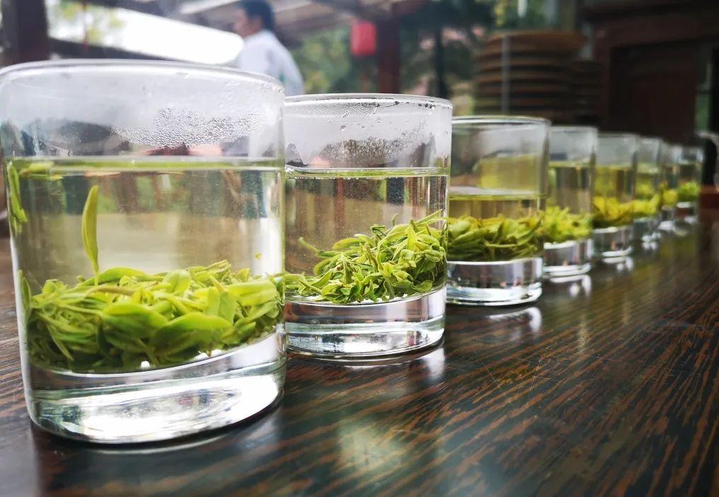 云雾茶属于什么茶？云雾茶是绿茶吗？