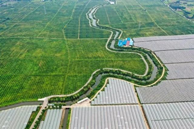 农业科技项目有哪些？农业科技主要做什么？