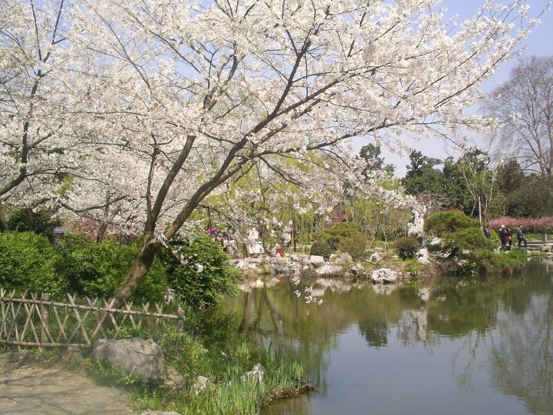 太子湾在哪个城市？太子湾名字由来