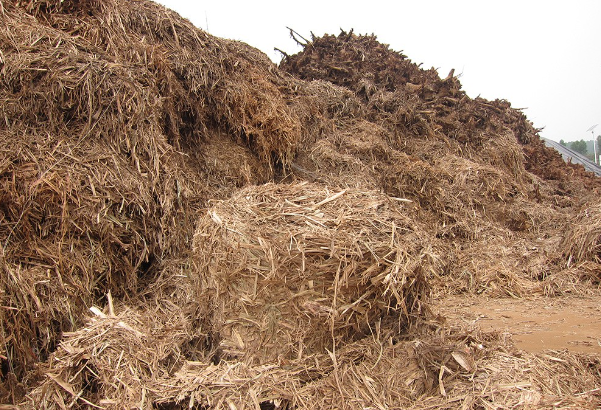 生物质发电用什么燃料？生物质发电是什么电？