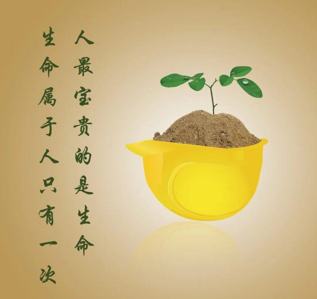 生命是什么？对生命的理解
