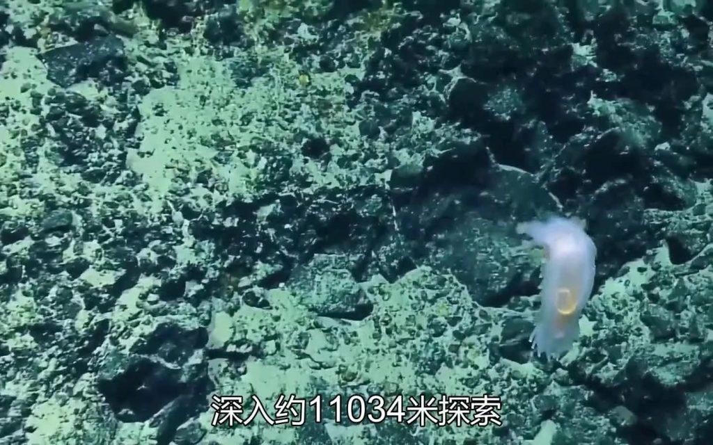 最深海沟是哪条海沟？最深的海沟在哪个国家？