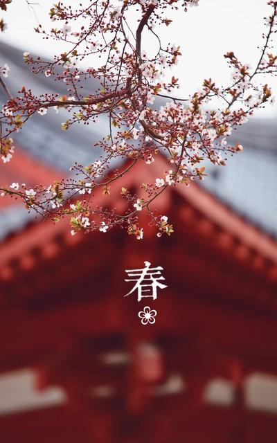 传统节日有哪些？传统节日及节日风俗